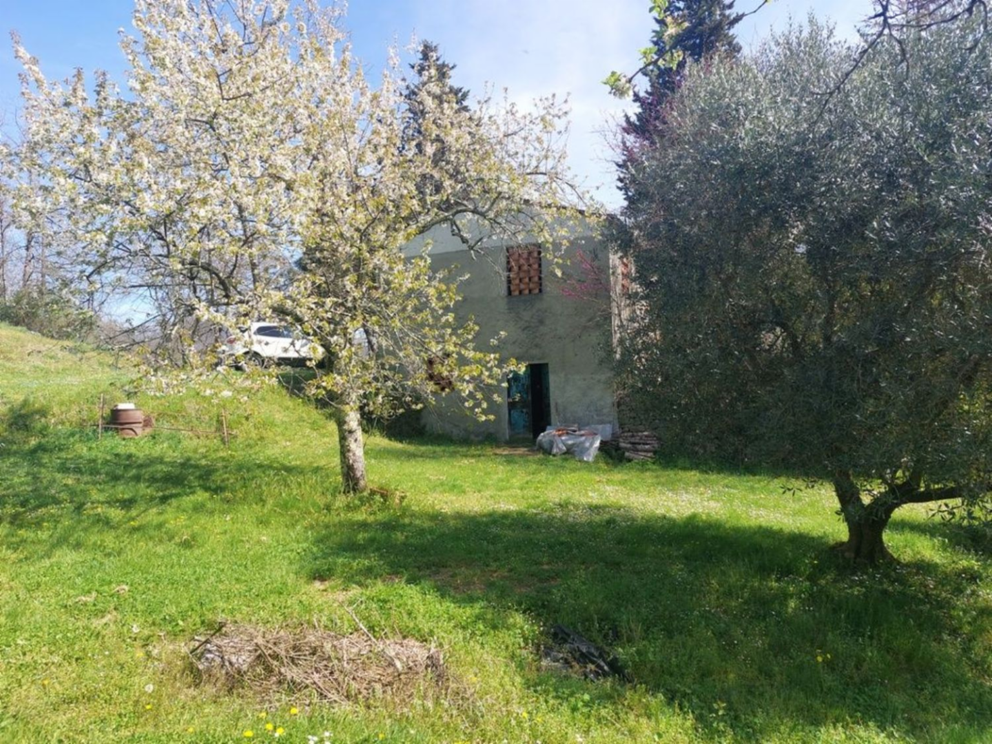 immagine annuncio 4 di 10