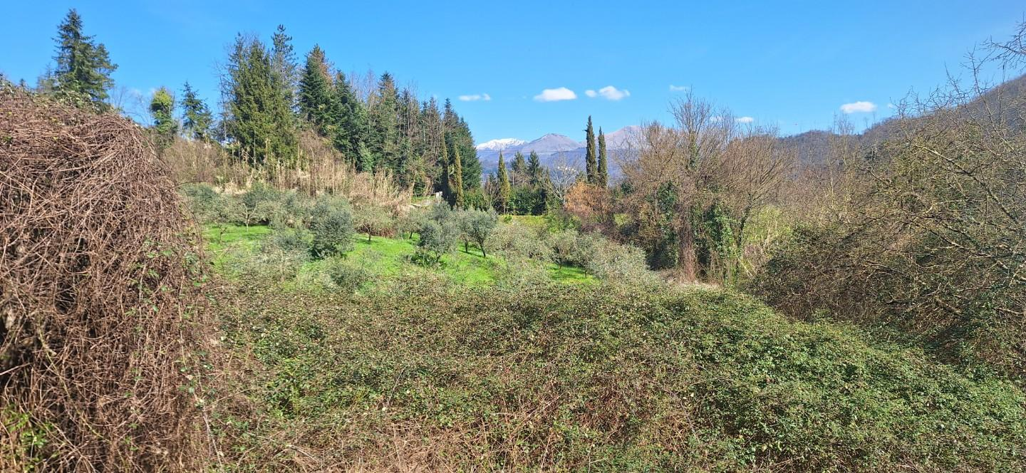 immagine annuncio 4 di 8