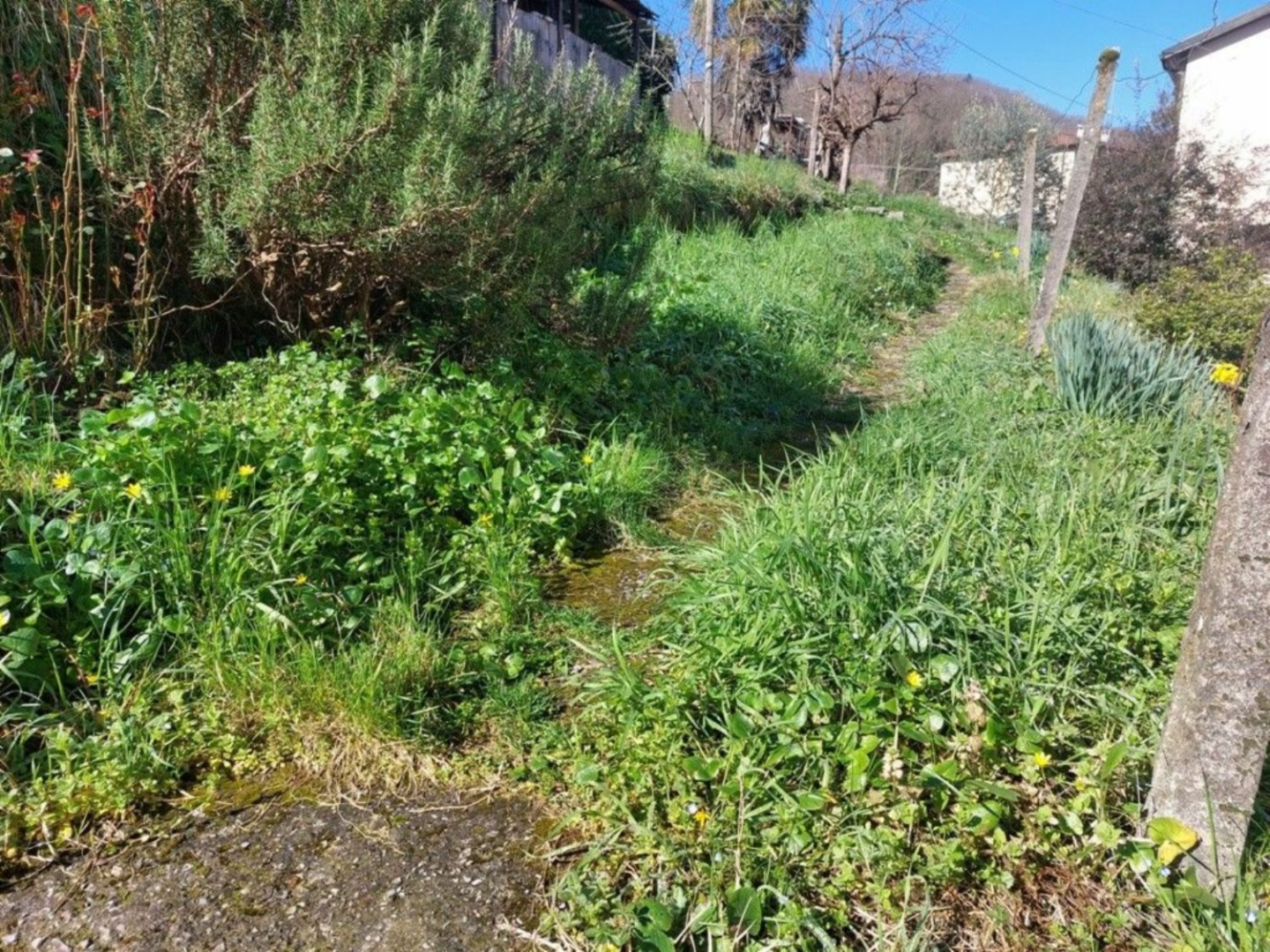 immagine annuncio 5 di 6