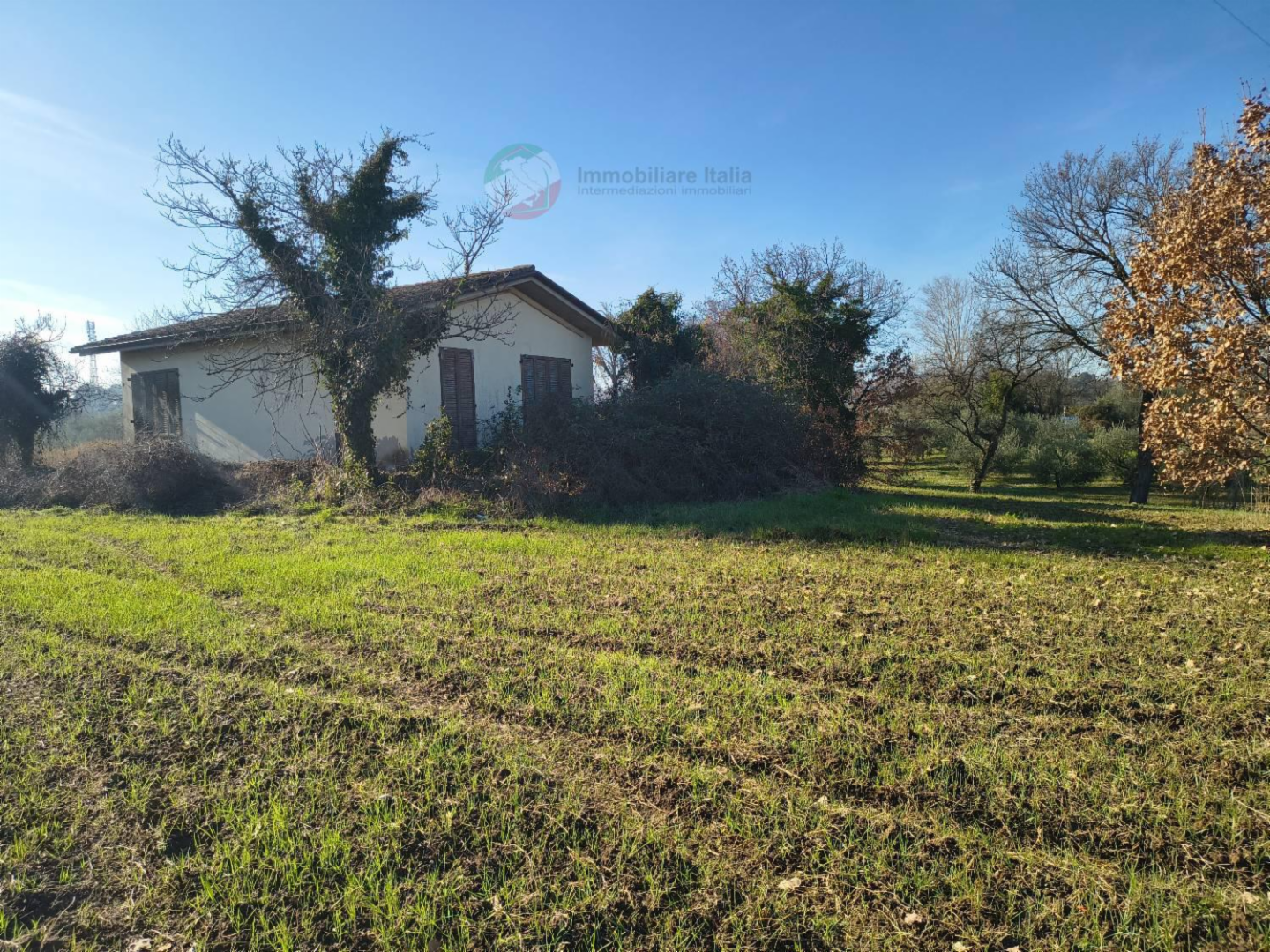 immagine annuncio 9 di 10