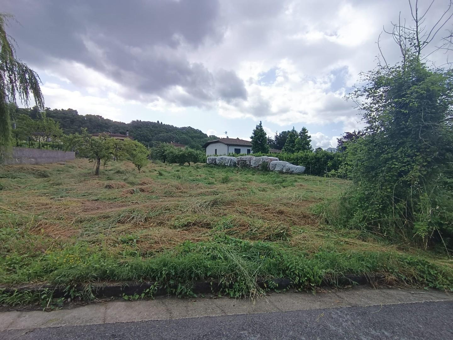 immagine annuncio 1 di 3