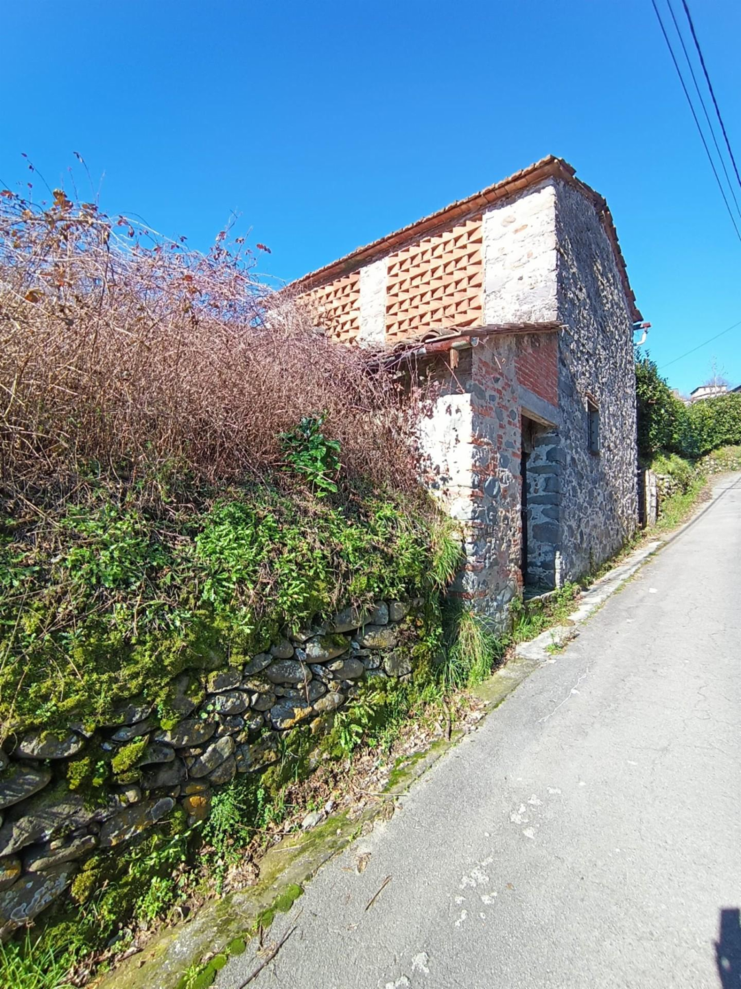 immagine annuncio 1 di 6