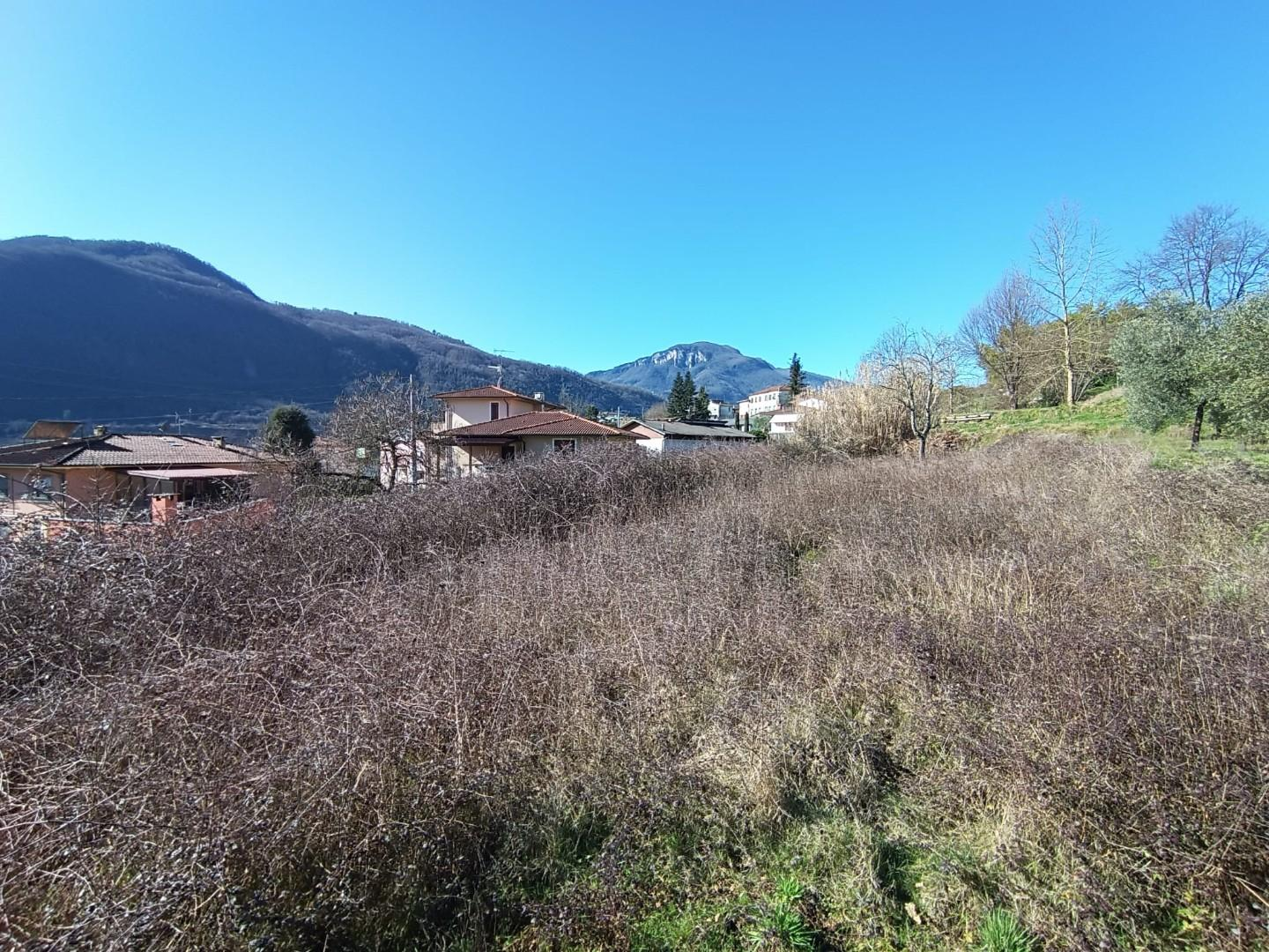 immagine annuncio 3 di 6
