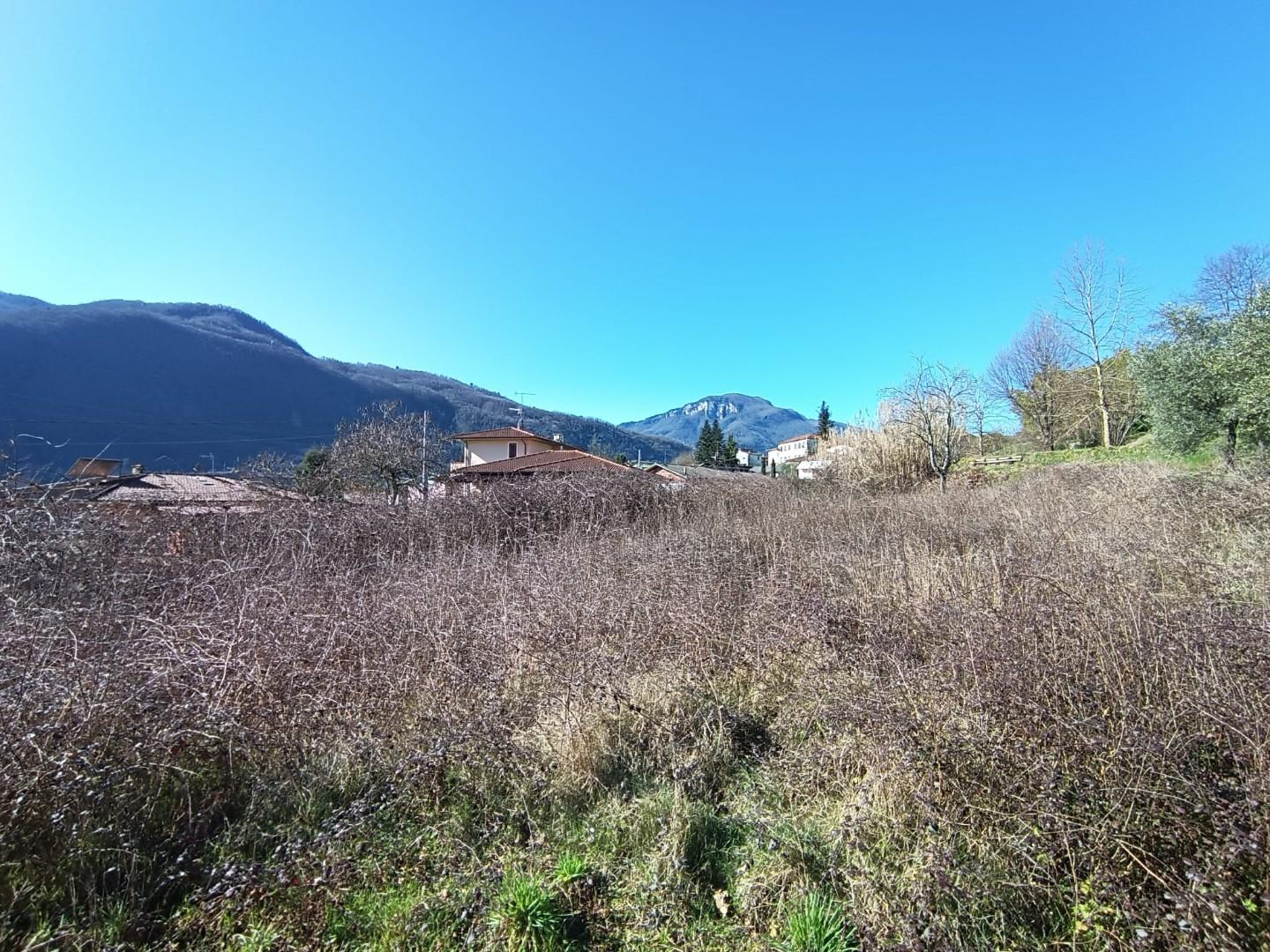 immagine annuncio 5 di 6