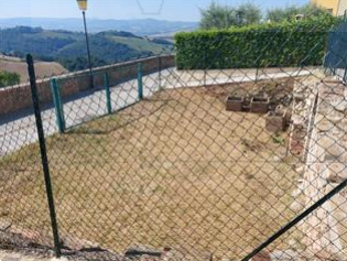 immagine annuncio 4 di 6