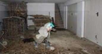 immagine annuncio 3 di 7