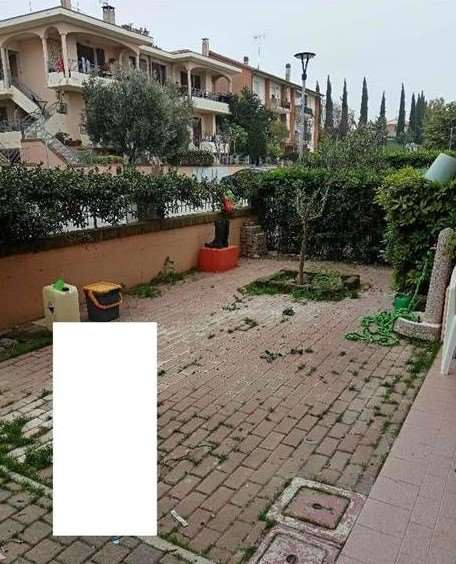 immagine annuncio 2 di 6