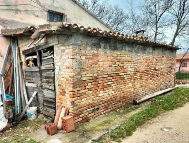 immagine annuncio 4 di 8