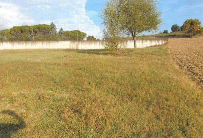 immagine annuncio 6 di 7