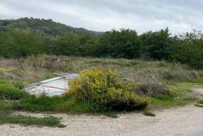 immagine annuncio 1 di 4