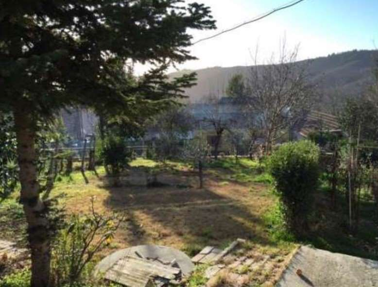 immagine annuncio 4 di 7