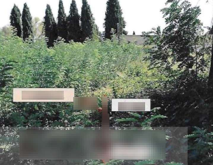 immagine annuncio 6 di 10