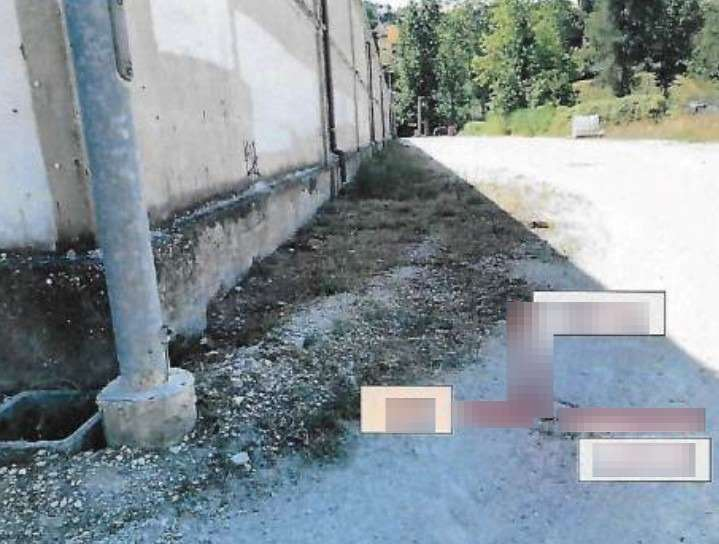 immagine annuncio 7 di 10