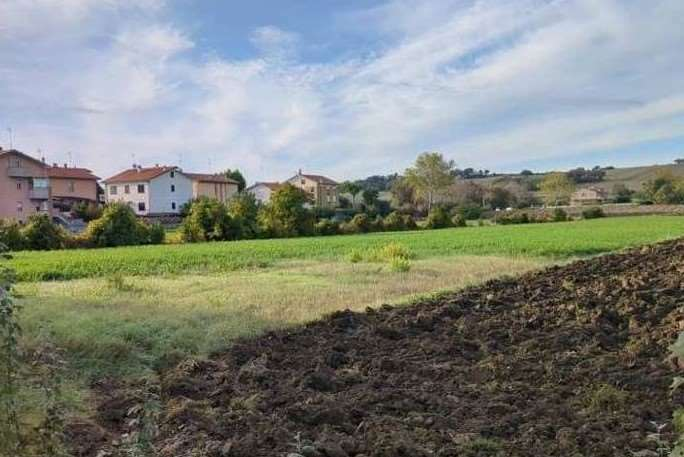 immagine annuncio 1 di 8