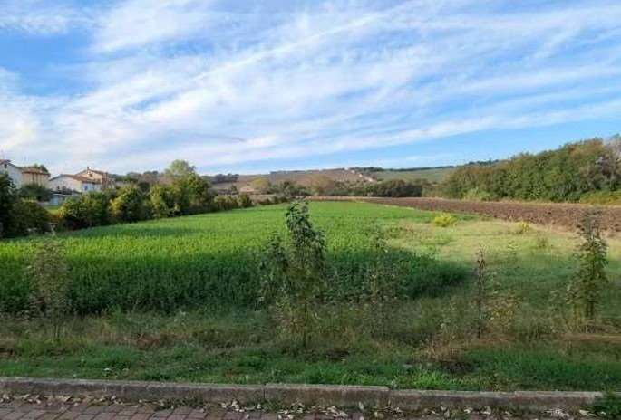 immagine annuncio 2 di 8