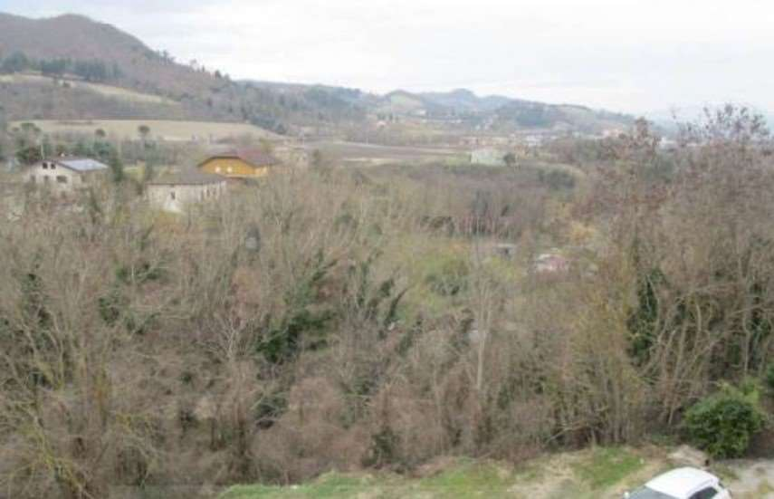 immagine annuncio 4 di 7