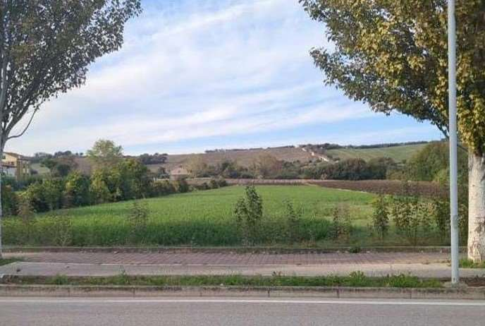 immagine annuncio 2 di 8