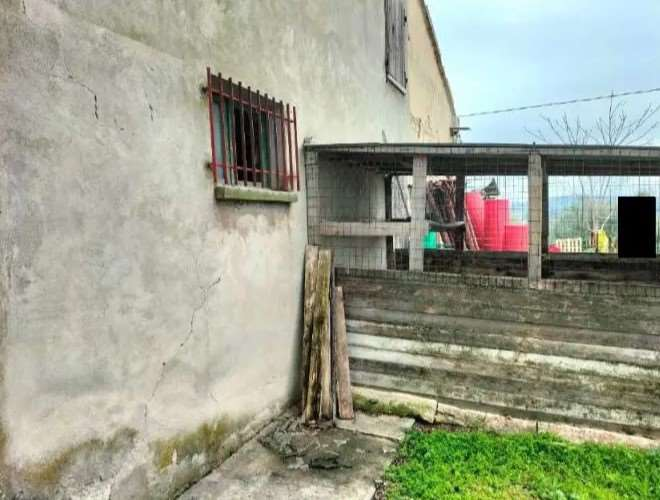 immagine annuncio 1 di 8