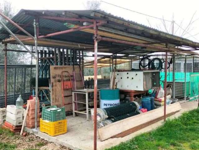 immagine annuncio 3 di 8