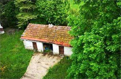 immagine annuncio 4 di 8