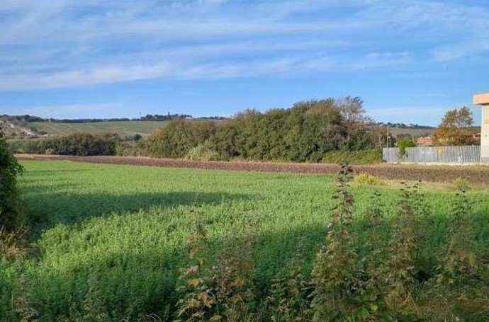 immagine annuncio 3 di 8