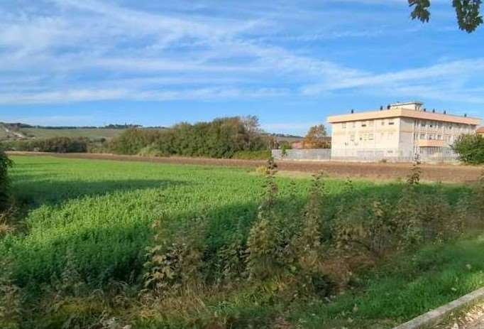 immagine annuncio 4 di 8