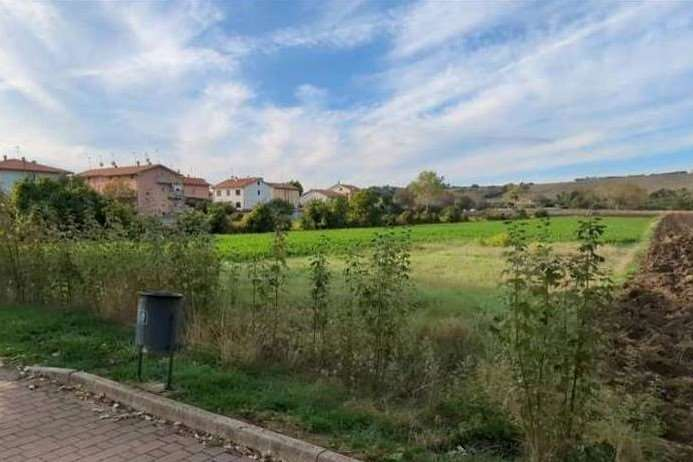 immagine annuncio 5 di 8