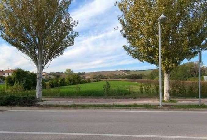 immagine annuncio 6 di 8