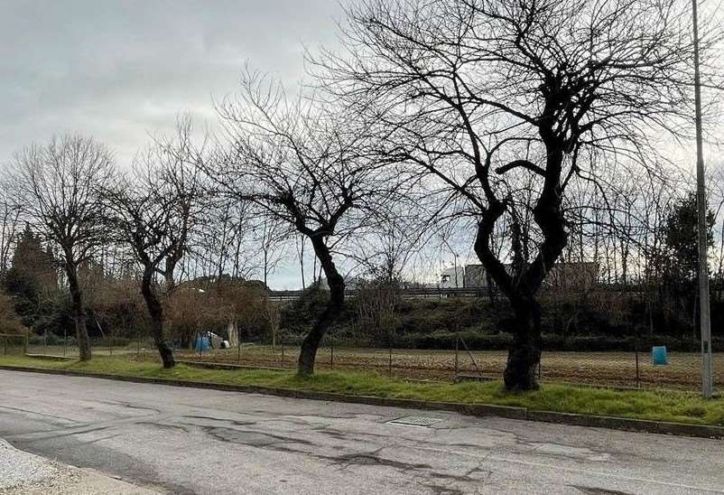 immagine annuncio 3 di 10