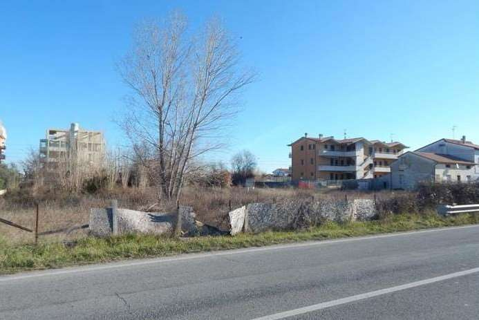 immagine annuncio 5 di 8