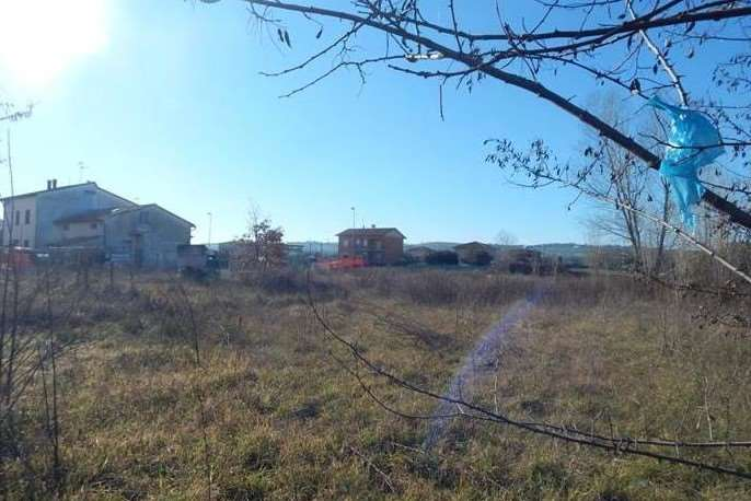 immagine annuncio 6 di 8