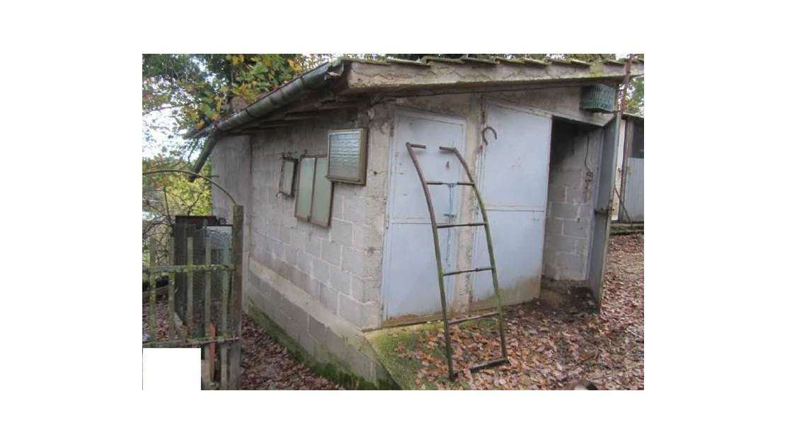 immagine annuncio 9 di 10