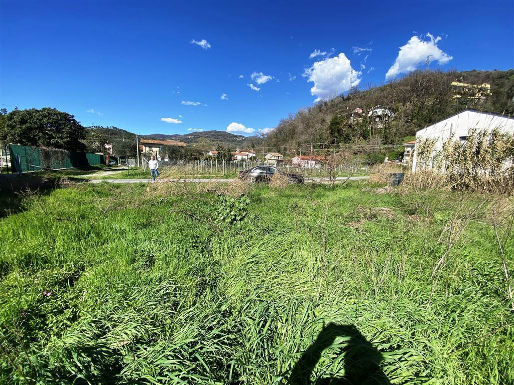 immagine annuncio 5 di 6