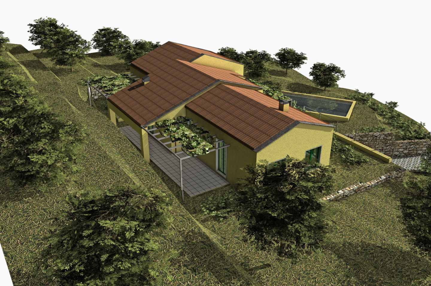 immagine annuncio 6 di 10