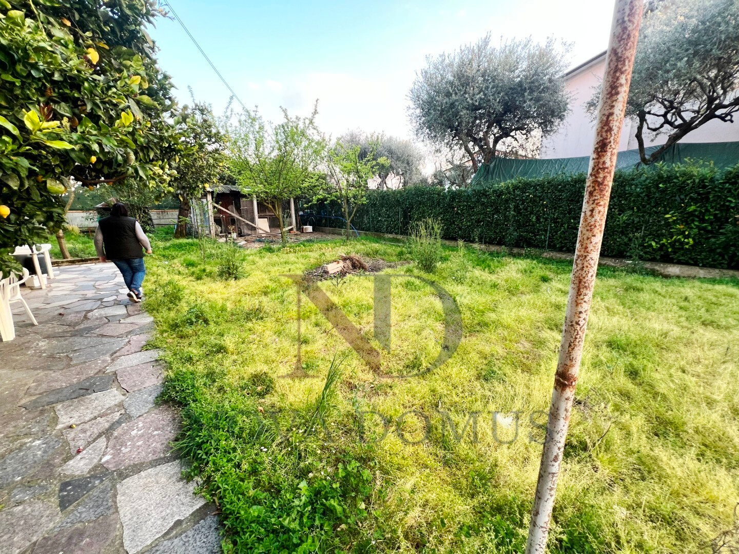 immagine annuncio 2 di 10