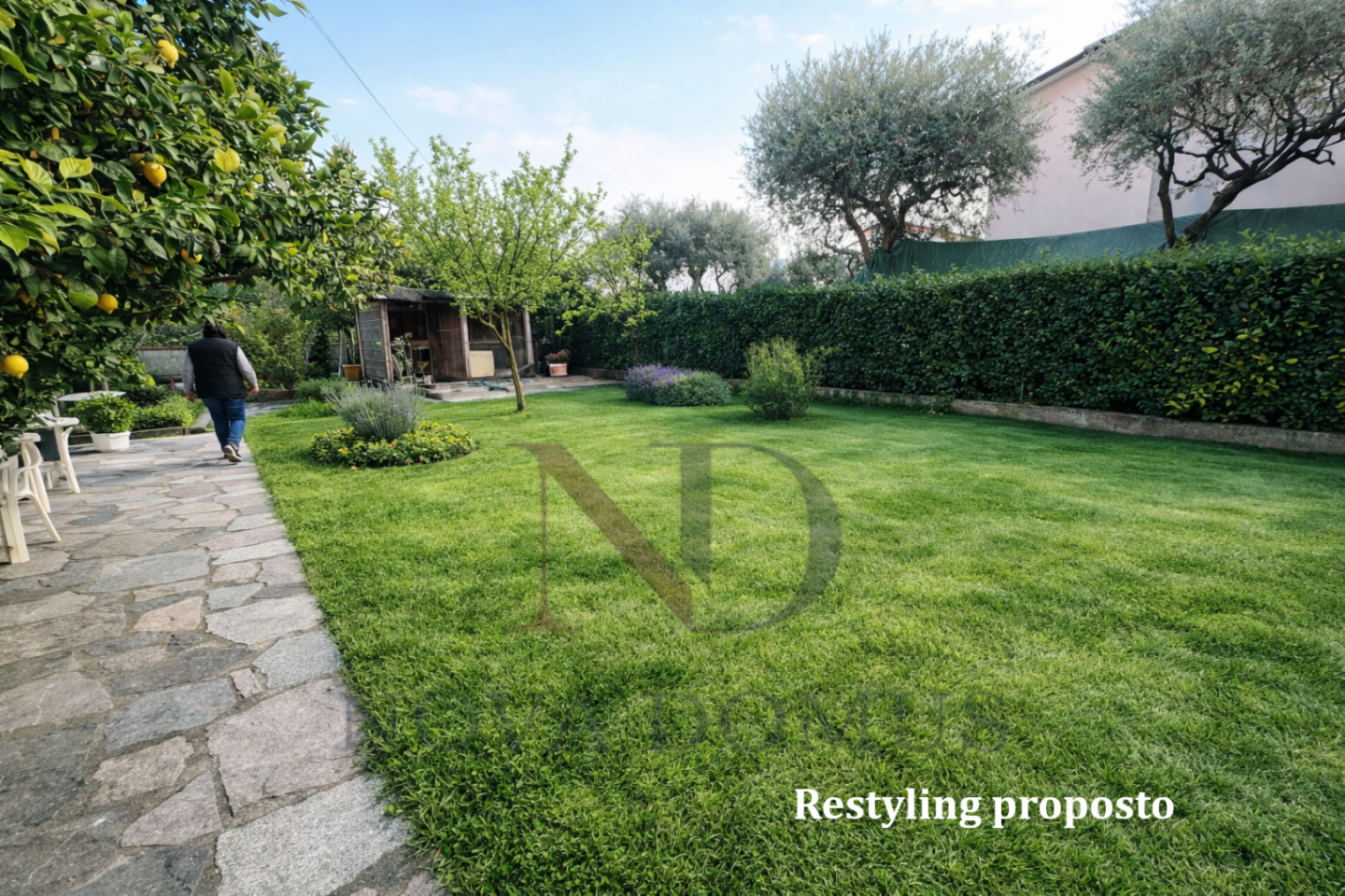 immagine annuncio 9 di 10