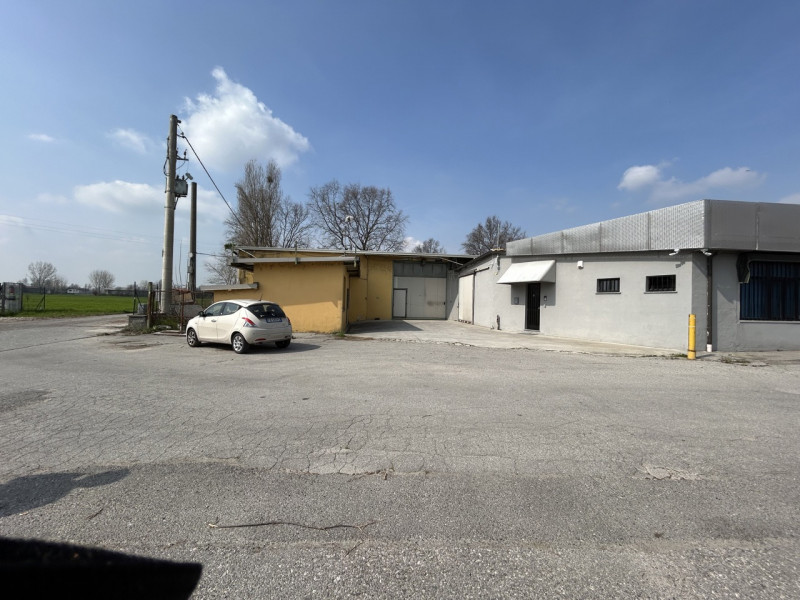 immagine annuncio 2 di 10