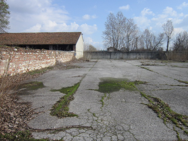 immagine annuncio 6 di 10