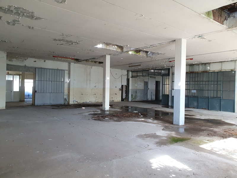 immagine annuncio 4 di 9