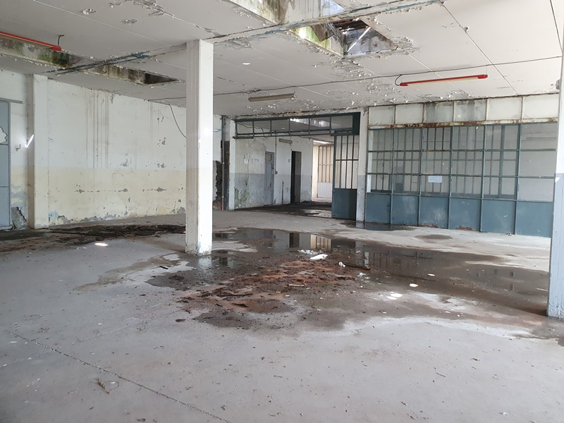 immagine annuncio 2 di 9