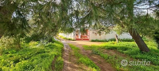 casa indipendente in vendita a Castelvetrano