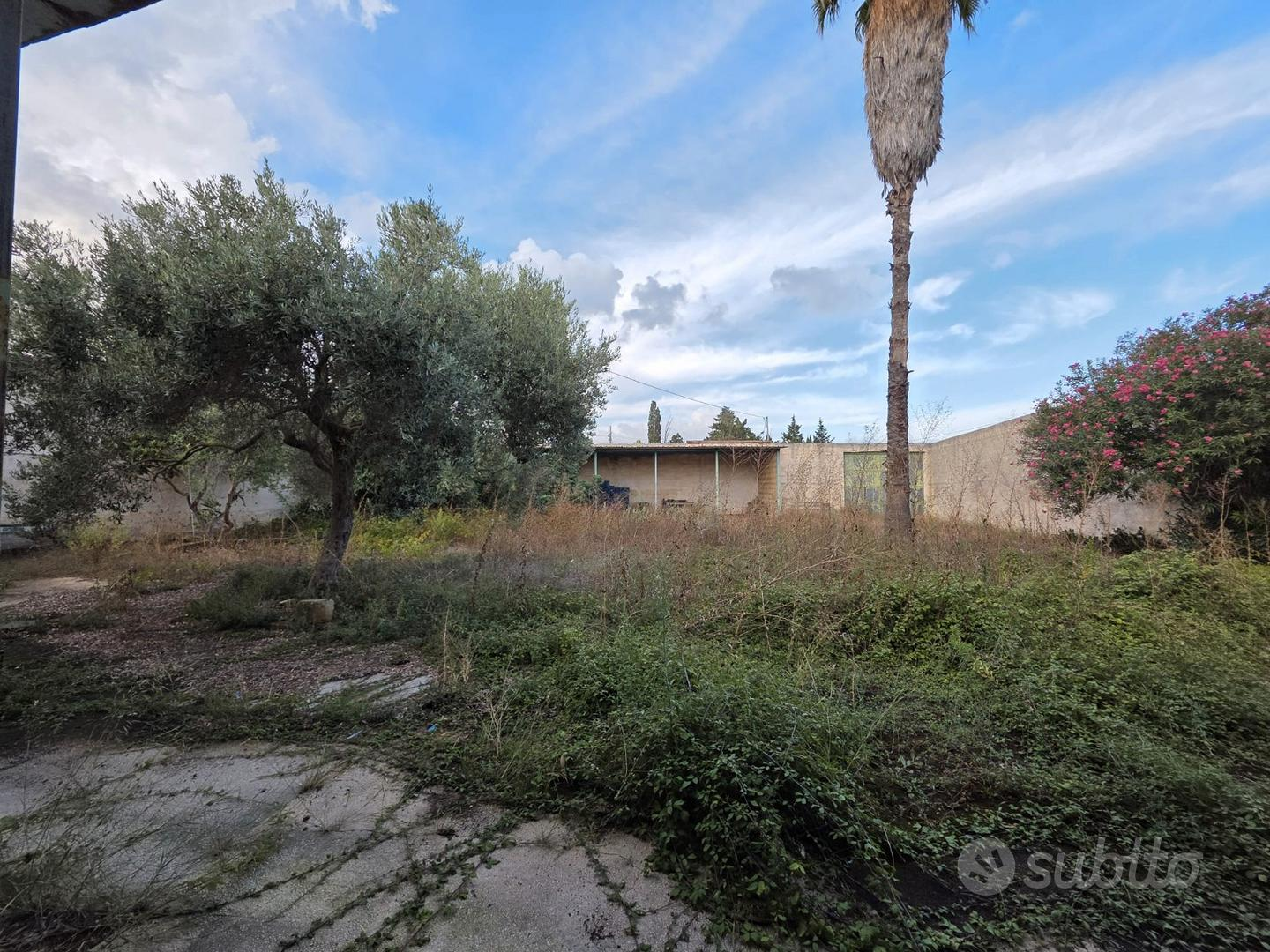 immagine annuncio 1 di 10