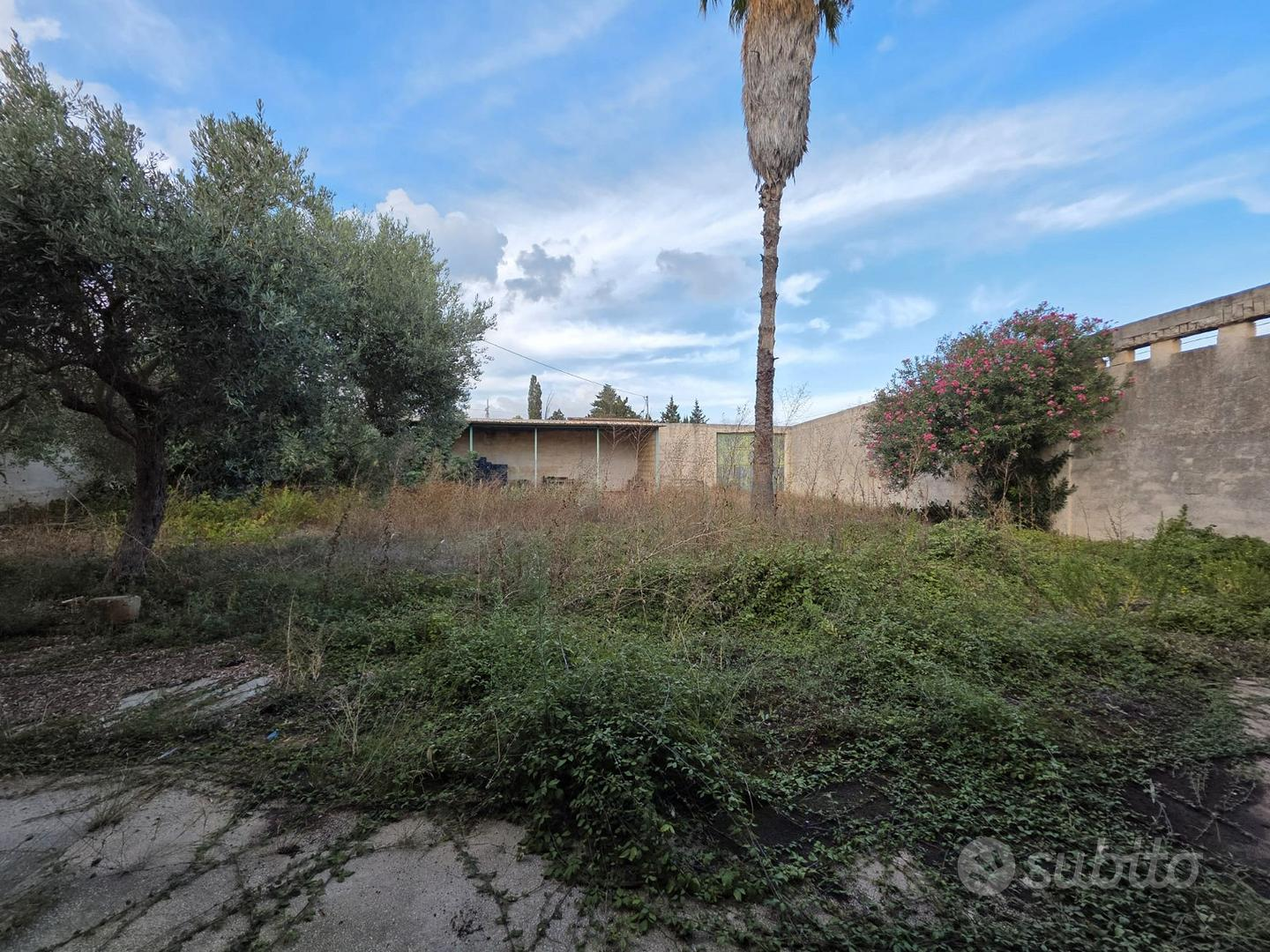 immagine annuncio 2 di 10