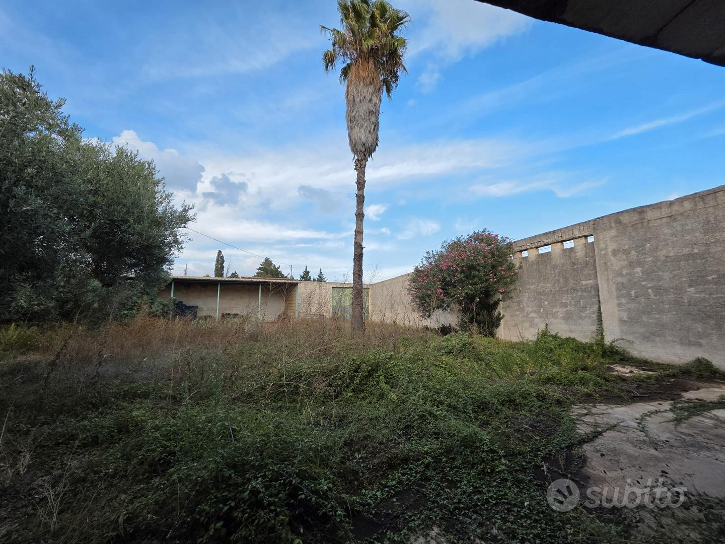 immagine annuncio 3 di 10