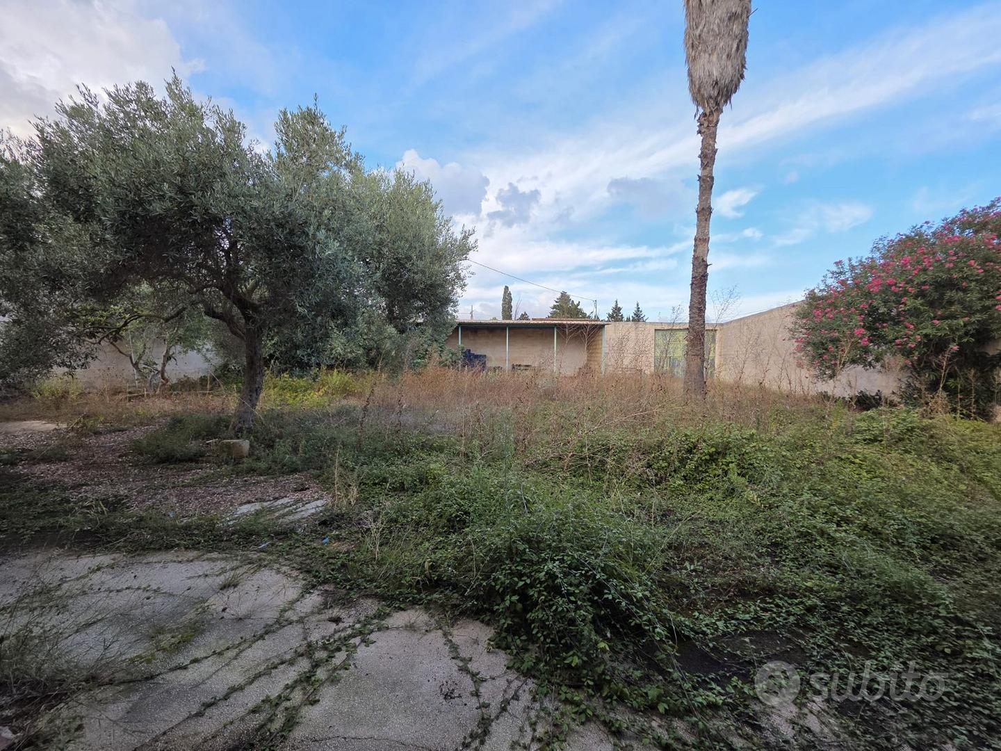 immagine annuncio 4 di 10