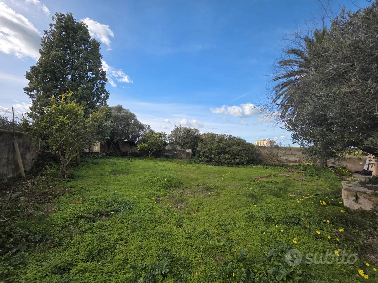 immagine annuncio 5 di 10