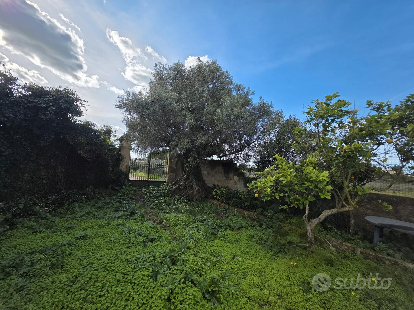 immagine annuncio 4 di 10