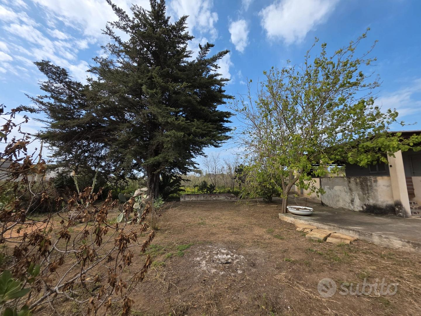 immagine annuncio 3 di 10