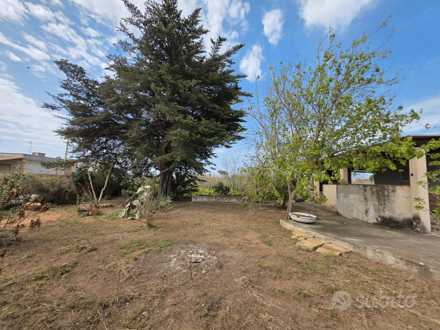 immagine annuncio 2 di 10