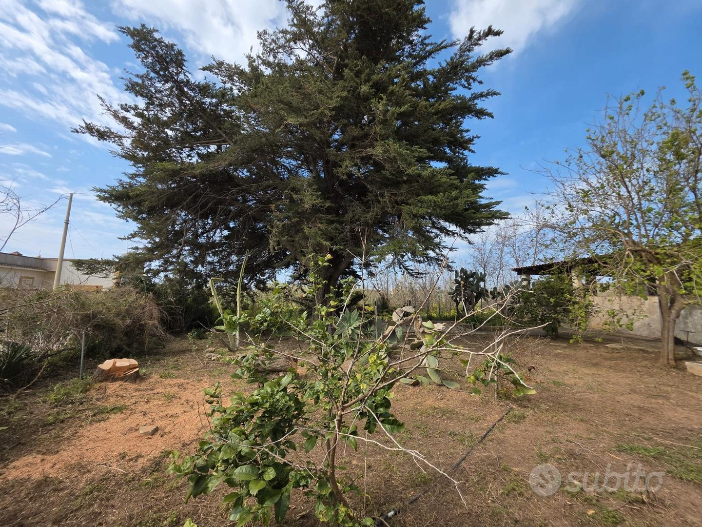 immagine annuncio 4 di 10